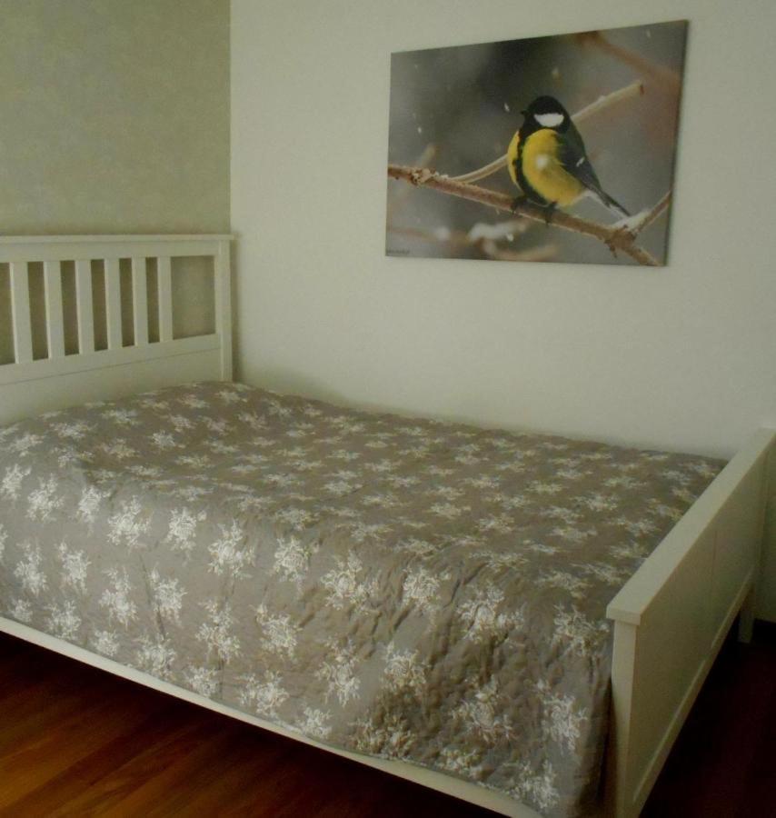 Apartament U Sikorek 耶莱尼亚古拉 外观 照片