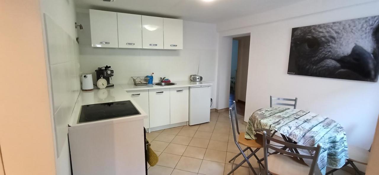 Apartament U Sikorek 耶莱尼亚古拉 外观 照片